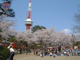 hatimanyama002